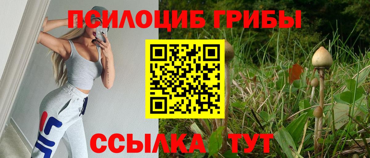 Меф   ГАШИШ  A-PVP СК кристаллы  Лсд 25  Каннабис  Зеленогорск  Вход с VPN 